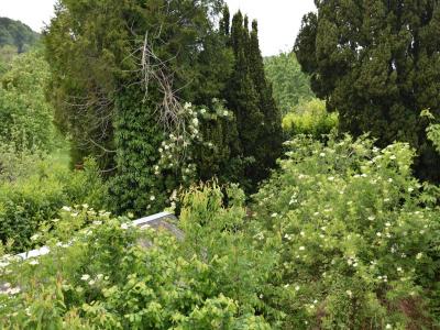 Annonce Vente 6 pi�ces Maison Pont-audemer 27