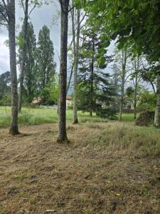 For sale Landiras 660 m2 Gironde (33720) photo 0