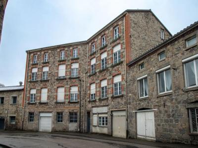Annonce Vente 5 pi�ces Appartement Seauve-sur-semene 43
