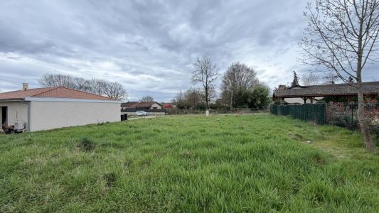 Annonce Vente Terrain  01