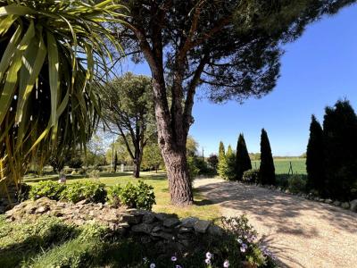 Acheter Maison Pluvigner 832000 euros
