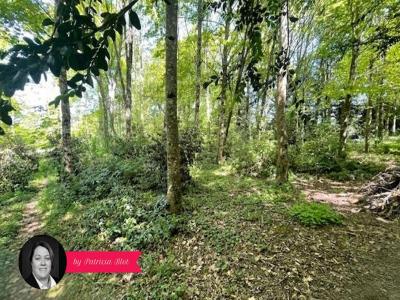 For sale Pluherlin 7 rooms 149 m2 Morbihan (56220) photo 2