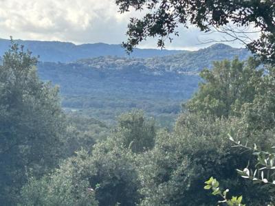 Annonce Vente 4 pi�ces Maison Sotta 20