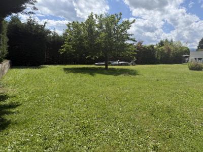 Annonce Vente Terrain Saint-marcellin-en-forez 42