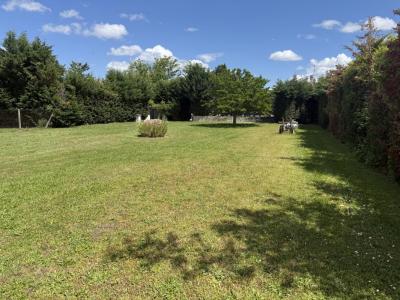 Acheter Terrain 1227 m2 Saint-marcellin-en-forez