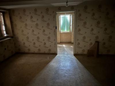 Acheter Maison Montrond-les-bains Loire