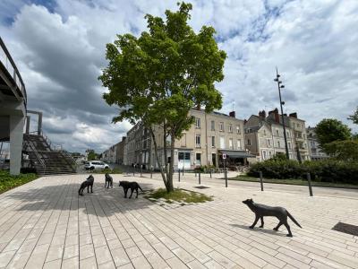 For sale Angers 4 rooms 69 m2 Maine et loire (49000) photo 0