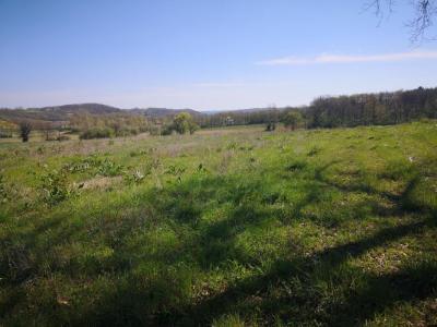 Annonce Vente Terrain Marciac 32