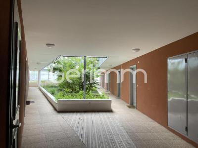Annonce Location Appartement Saint-martin-le-vinoux 38