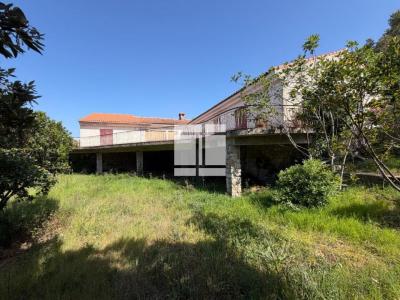Annonce Vente 7 pi�ces Maison Pietrosella 20