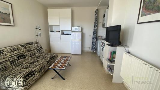For sale Grau-du-roi 3 rooms 47 m2 Gard (30240) photo 0