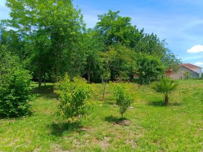 Acheter Maison 283 m2 Labatut-riviere
