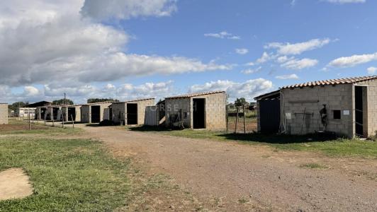 Acheter Prestige 80 m2 Beziers