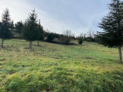 Annonce Vente Terrain  34