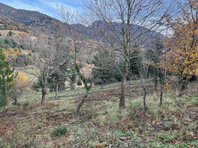 Acheter Terrain 