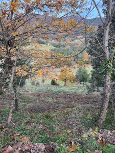 Acheter Terrain  12000 euros