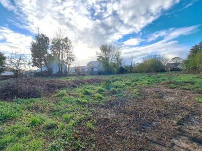 For sale Plabennec 413 m2 Finistere (29860) photo 0
