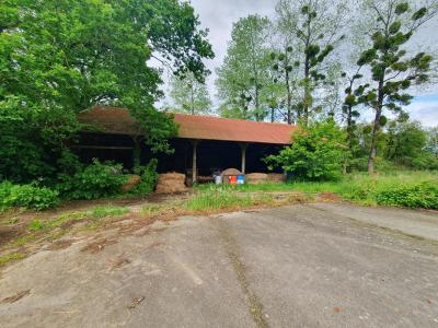 Annonce Vente 5 pi�ces Maison Bieuzy 56