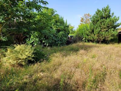 Annonce Vente Terrain Biganos 33