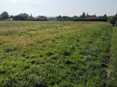 Acheter Maison Seysses 245500 euros