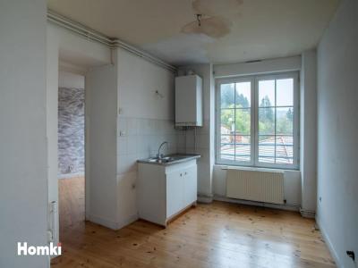 Annonce Vente 4 pi�ces Appartement Seauve-sur-semene 43