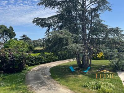 Annonce Vente 5 pi�ces Maison Moissac 82