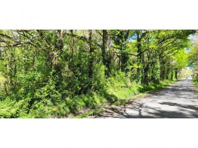 Annonce Vente Terrain Guerande 44