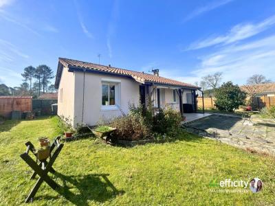 Annonce Vente 4 pi�ces Maison Magescq 40