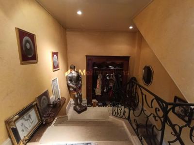 Acheter Maison 372 m2 Bourbonne-les-bains