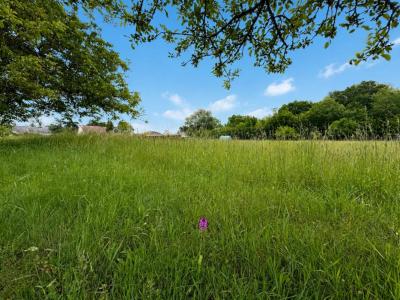 Annonce Vente Terrain Saint-maur 36