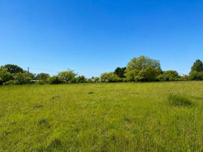 Acheter Terrain 5690 m2 Saint-maur