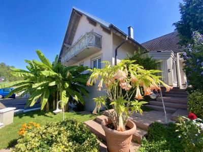 For sale Beinheim 8 rooms 214 m2 Bas rhin (67930) photo 0