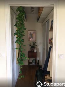 Louer Appartement Nice Alpes Maritimes