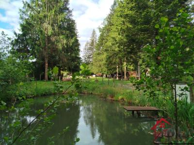 Annonce Vente Terrain Champsevraine 52