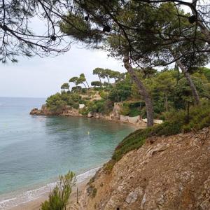 For rent Pradet 3 rooms 70 m2 Var (83220) photo 0