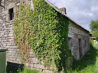 Annonce Vente 2 pi�ces Maison Langonnet 56