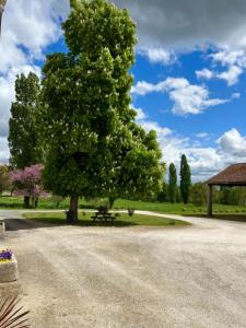 Annonce Vente 7 pi�ces Maison Baignes-sainte-radegonde 16