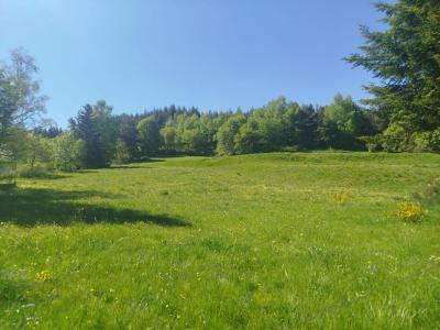 For sale Chaudeyrac 6438 m2 Lozere (48170) photo 0