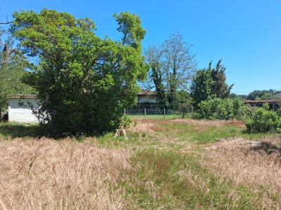 Annonce Vente Terrain Belin-beliet 33