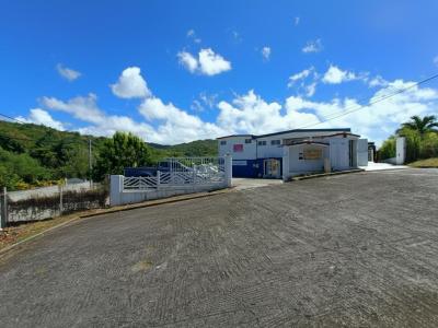 For sale Sainte-luce 11 rooms 140 m2 Martinique (97228) photo 3