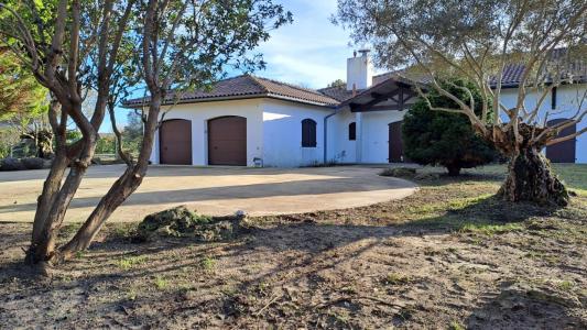 Annonce Vente 6 pi�ces Maison Soustons 40