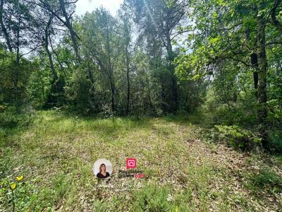 Annonce Vente Terrain Trans-en-provence 83