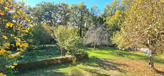 Acheter Maison Coulounieix-chamiers 215000 euros