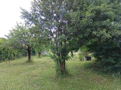 Acheter Maison 167 m2 Saint-yrieix-sur-charente