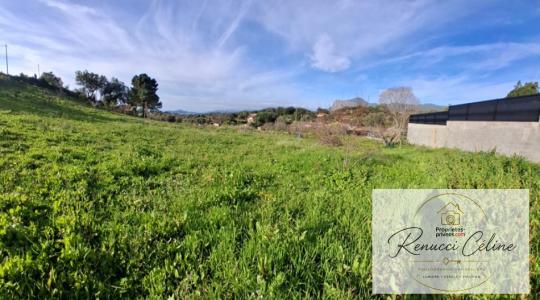 For sale Peri 1200 m2 Corse (20167) photo 1