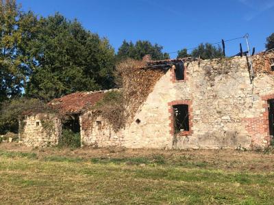 Annonce Vente Maison Chatelliers-chateaumur 85