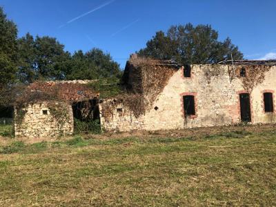 Acheter Maison 120 m2 Chatelliers-chateaumur