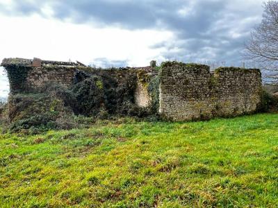 Acheter Maison Chatelliers-chateaumur Vendee