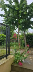 Acheter Maison 87 m2 Mans