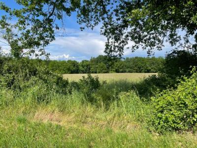 For sale Verdon-sur-mer 1002 m2 Gironde (33123) photo 0